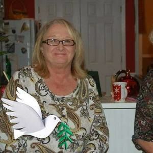 Meet your Posher, Debbie hibbard